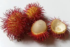 Kenapa sering batuk setelah makan rambutan? Simak penjelasan dan cara mengatasinya