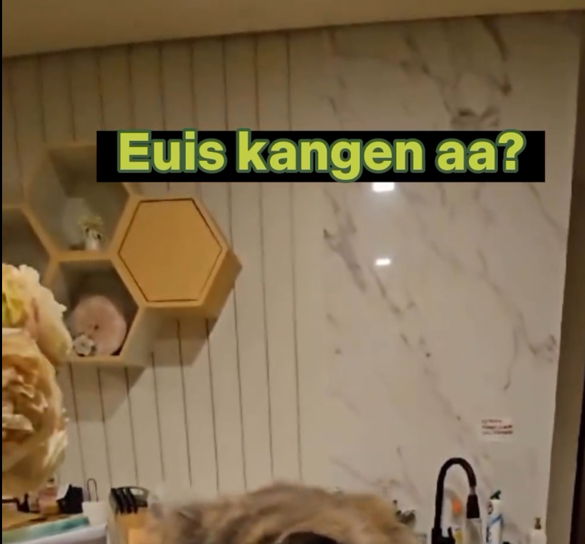 Dapur Ridwan Kamil dilengkapi dekorasi heksagonal ini makin unik dan estetik, intip 7 potretnya