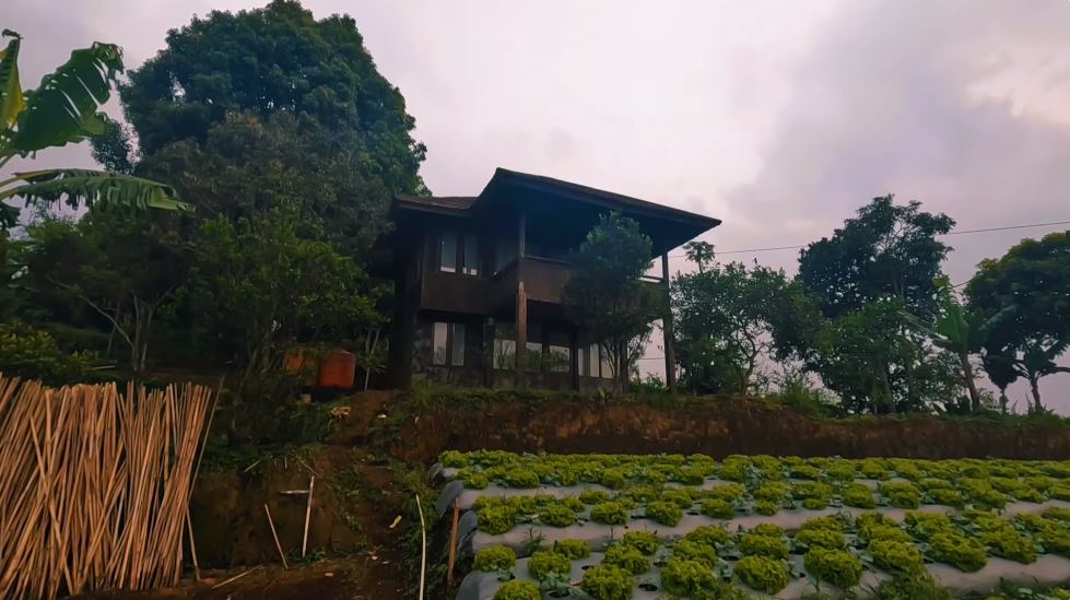 Besar bak istana ada halaman luas di tengah sawah, 11 potret rumah Anjasmara ini terbengkalai 5 tahun