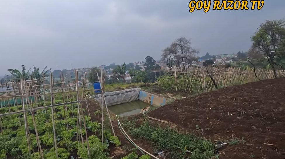 Besar bak istana ada halaman luas di tengah sawah, 11 potret rumah Anjasmara ini terbengkalai 5 tahun