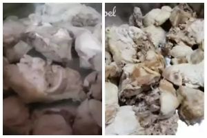 Trik merebus ayam potong agar tidak amis, kesat, dan bebas lemak meski tak pakai cuka