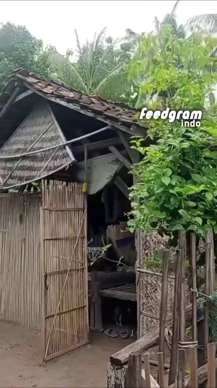 Berdinding bambu, 7 potret rumah guru yang motornya dibakar siswa gegara tersinggung ini bikin miris