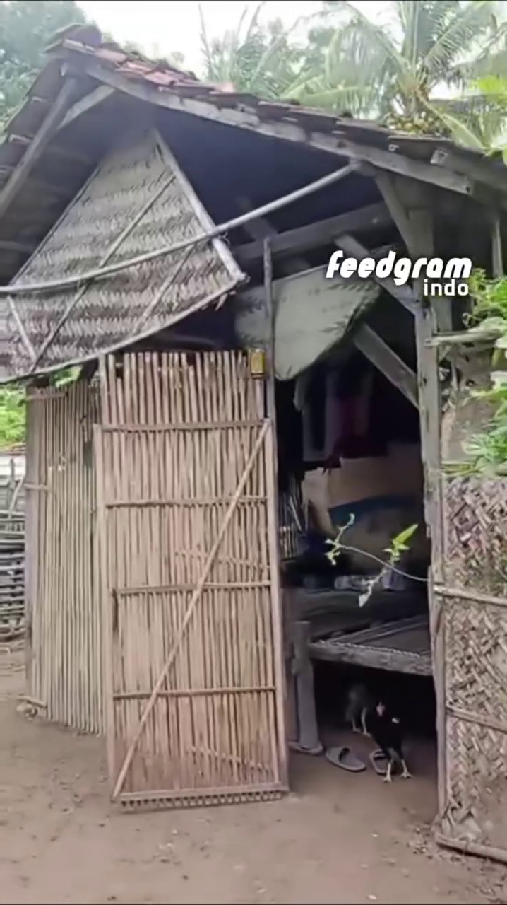 Berdinding bambu, 7 potret rumah guru yang motornya dibakar siswa gegara tersinggung ini bikin miris