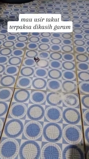 Kerap muncul di musim di hujan, ini trik mengusir cacing di kamar mandi supaya nggak balik lagi