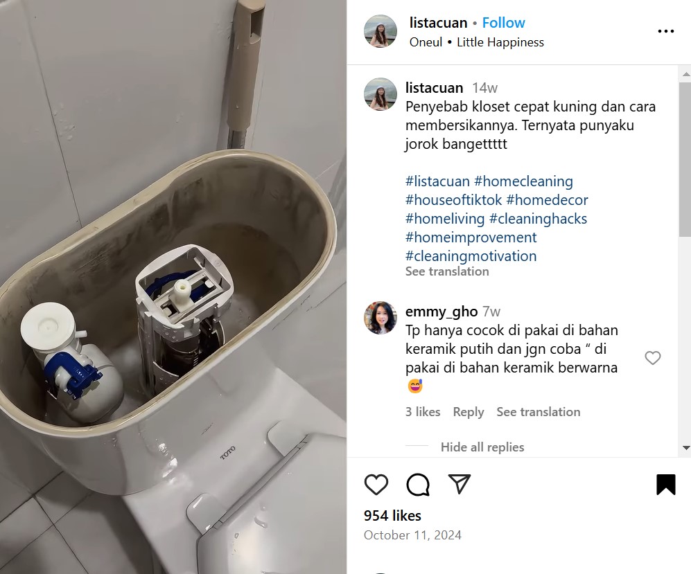 Bisa bikin WC menguning, ini trik membersihkan tangki kloset supaya bebas lumut dan kerak hitam