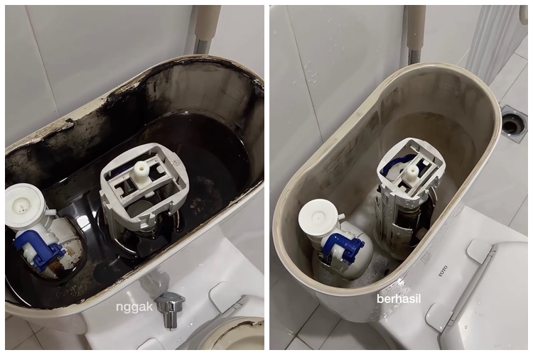 Bisa bikin WC menguning, ini trik membersihkan tangki kloset supaya bebas lumut dan kerak hitam