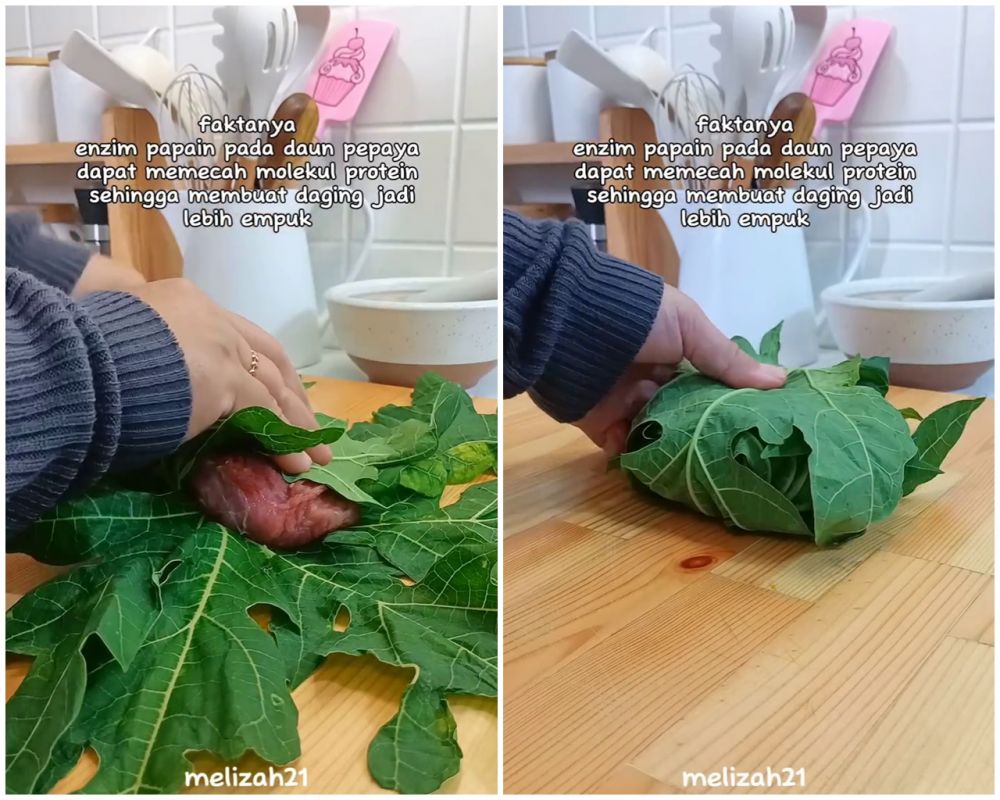 Trik mengempukkan daging sapi ini ampuh tanpa mengubah rasanya, cukup dibungkus pakai 1 jenis daun