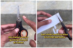 Bukan digosok batu asahan, begini cara jitu menajamkan gunting tumpul pakai 1 alat sederhana