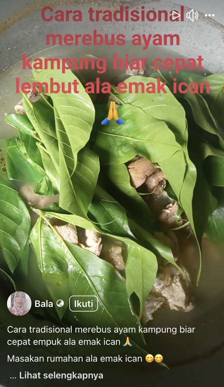Tanpa dipresto, ini cara merebus ayam kampung agar cepat empuk andalkan 1 jenis daun