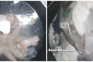 Langsung empuk tanpa presto, ini trik merebus daging ayam tua agar hemat gas cuma dalam 30 menit