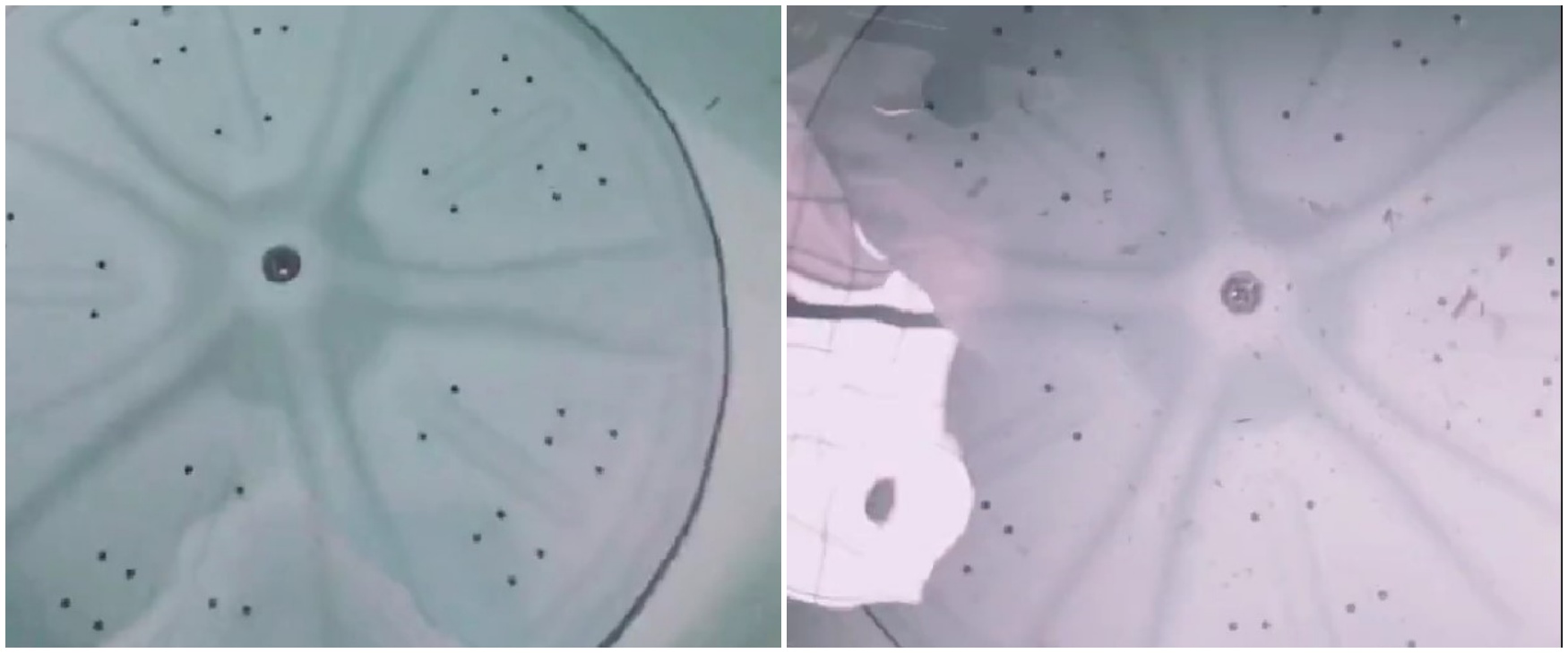 Tanpa perlu ribet bongkar, ini cara bersihkan mesin cuci cukup pakai satu bahan dapur