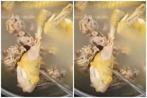 Tak usah dipresto, trik mengempukkan daging ayam kampung ini cuma manfaatkan 1 jenis rempah