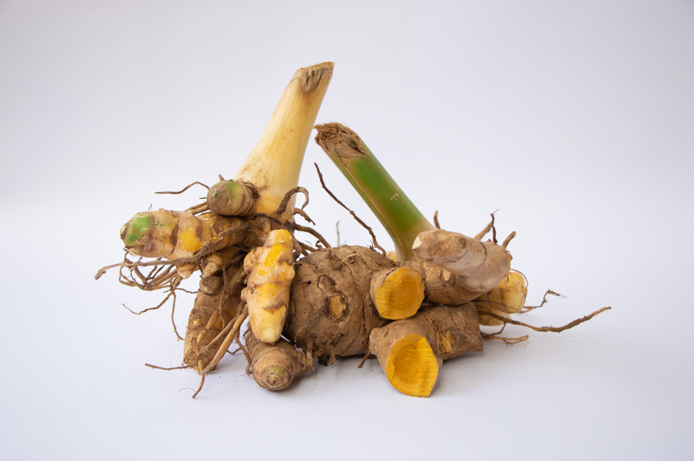 5 Khasiat jamu yang lebih dari pengusir masuk angin, ini hasil ilmiah kolaborasi Sido Muncul & IDI