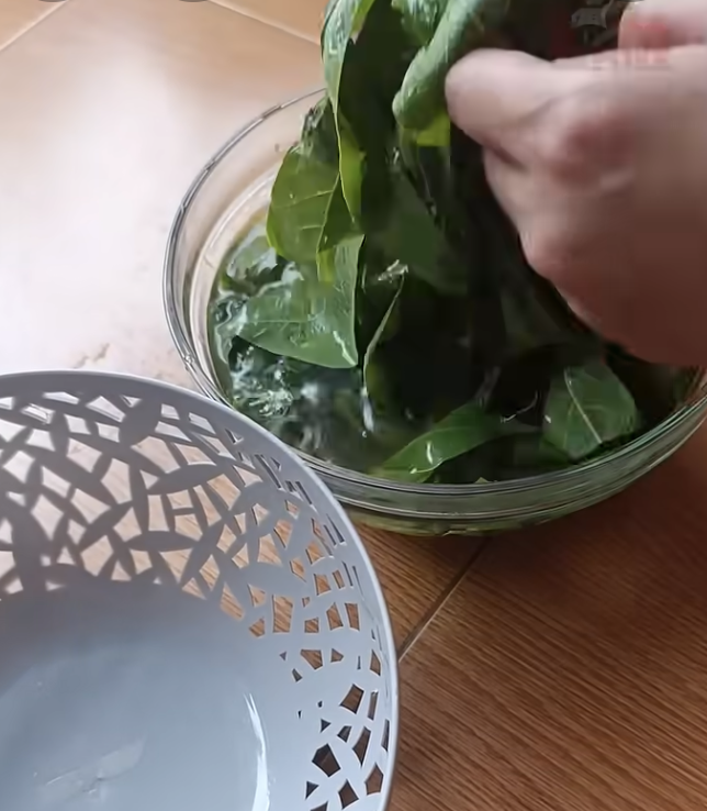 Warnanya hijau segar, ini cara merebus daun singkong agar cepat empuk dalam 7 menit