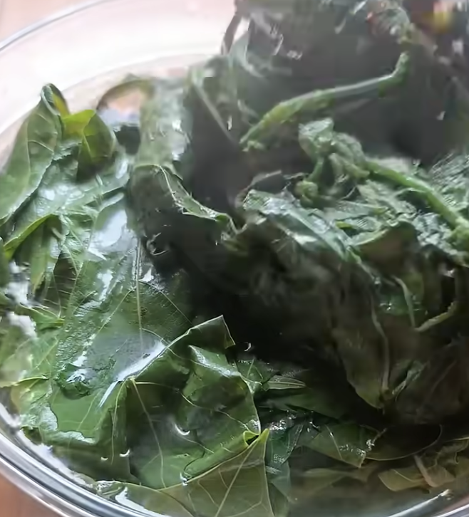 Warnanya hijau segar, ini cara merebus daun singkong agar cepat empuk dalam 7 menit
