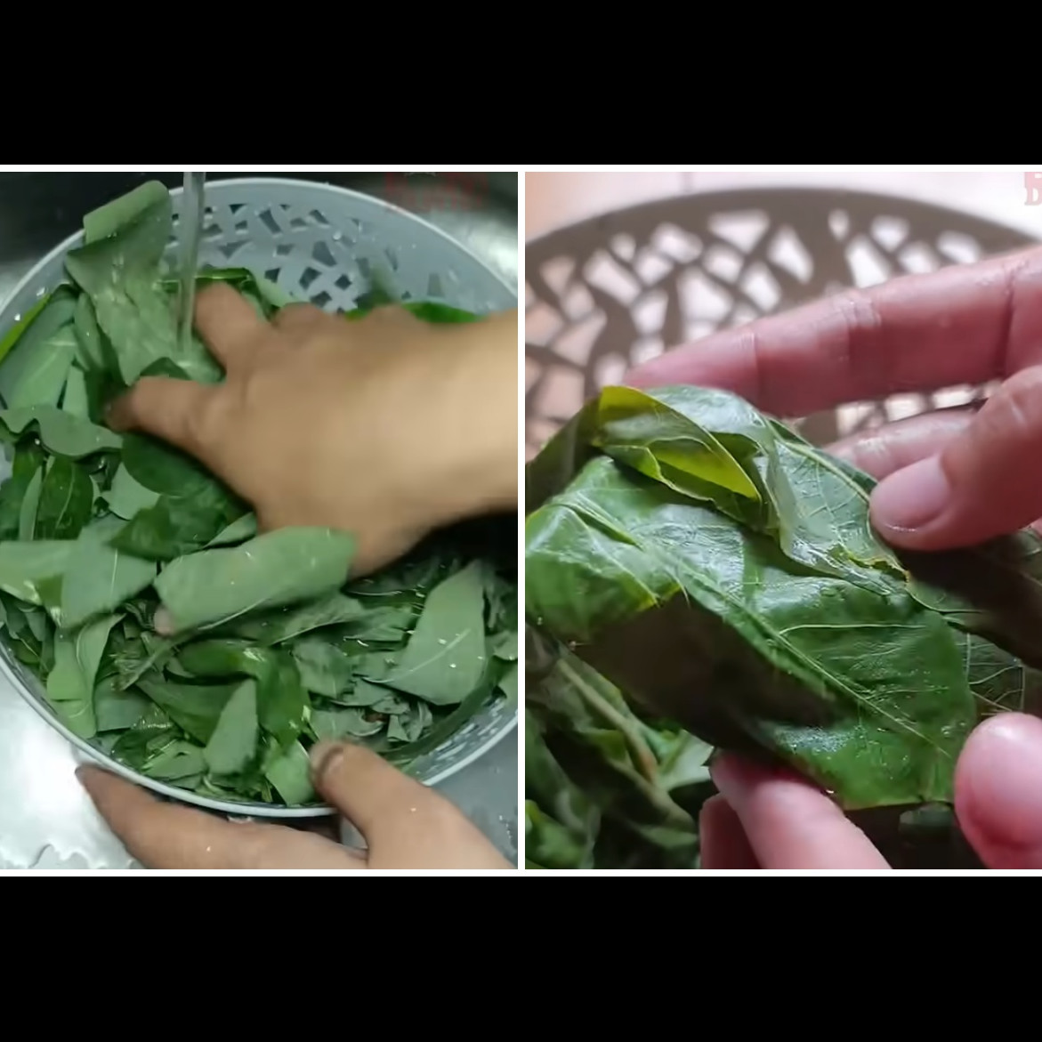 Warnanya hijau segar, ini cara merebus daun singkong agar cepat empuk dalam 7 menit