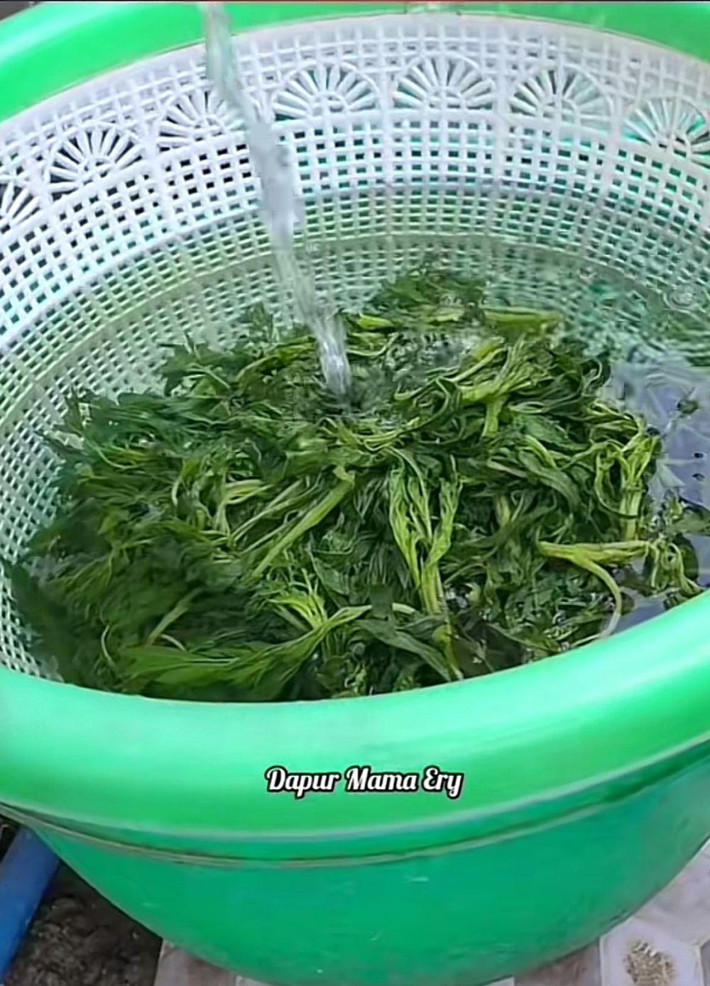 Andalkan 1 bahan dapur, cara merebus daun kenikir ini bikin empuk dan tetap hijau cantik