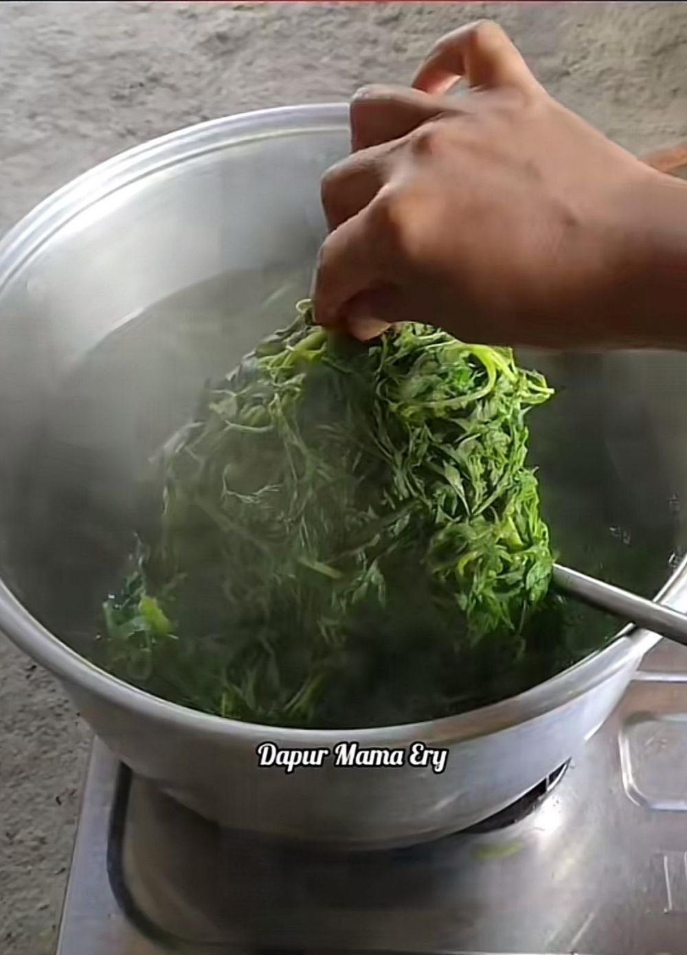 Andalkan 1 bahan dapur, cara merebus daun kenikir ini bikin empuk dan tetap hijau cantik