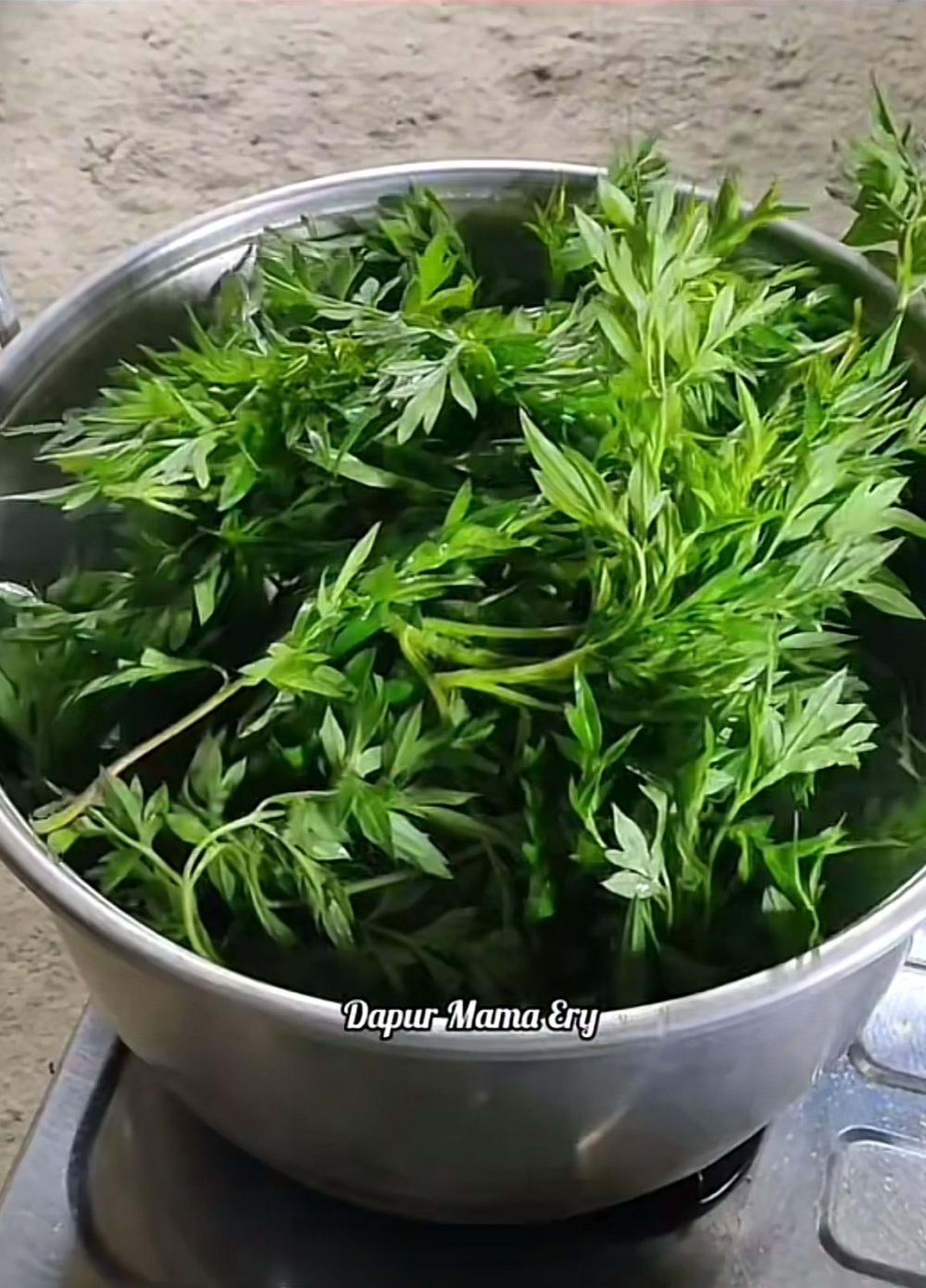 Andalkan 1 bahan dapur, cara merebus daun kenikir ini bikin empuk dan tetap hijau cantik