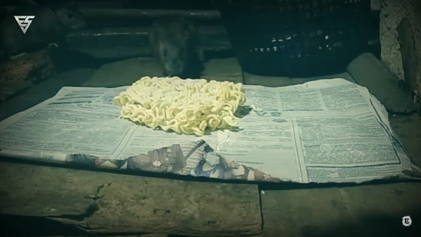 Cara basmi tikus di dapur cuma pakai 1 bahan makanan tanpa perlu bikin perangkap