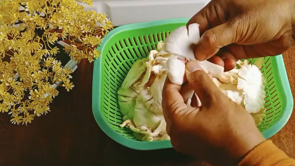 Cara menggoreng jamur tiram agar garing renyah lebih lama tanpa diberi baking soda