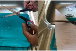 Trik menajamkan gunting tumpul pakai 1 bahan dapur, jadi lebih tajam ketimbang baru beli
