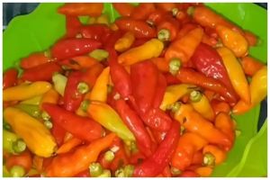 Cara menyimpan cabai agar tetap segar selama 2 bulan pakai satu bahan dapur, tanpa ditaruh freezer