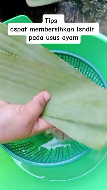 Tak perlu direndam cairan apapun, ini trik cepat bersihkan lendir usus ayam supaya bebas bau amis