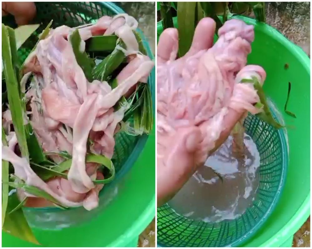 Tak perlu direndam cairan apapun, ini trik cepat bersihkan lendir usus ayam supaya bebas bau amis