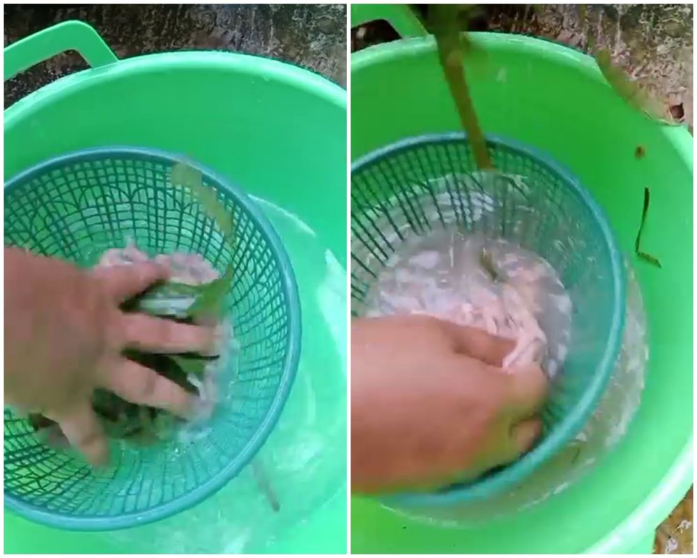 Tak perlu direndam cairan apapun, ini trik cepat bersihkan lendir usus ayam supaya bebas bau amis