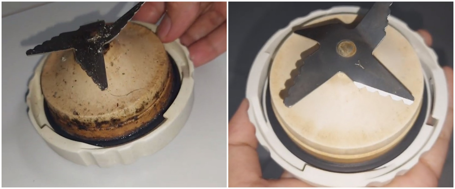Trik bersihkan bagian bawah pisau blender menguning pakai 1 bahan dapur, auto kinclong seperti baru
