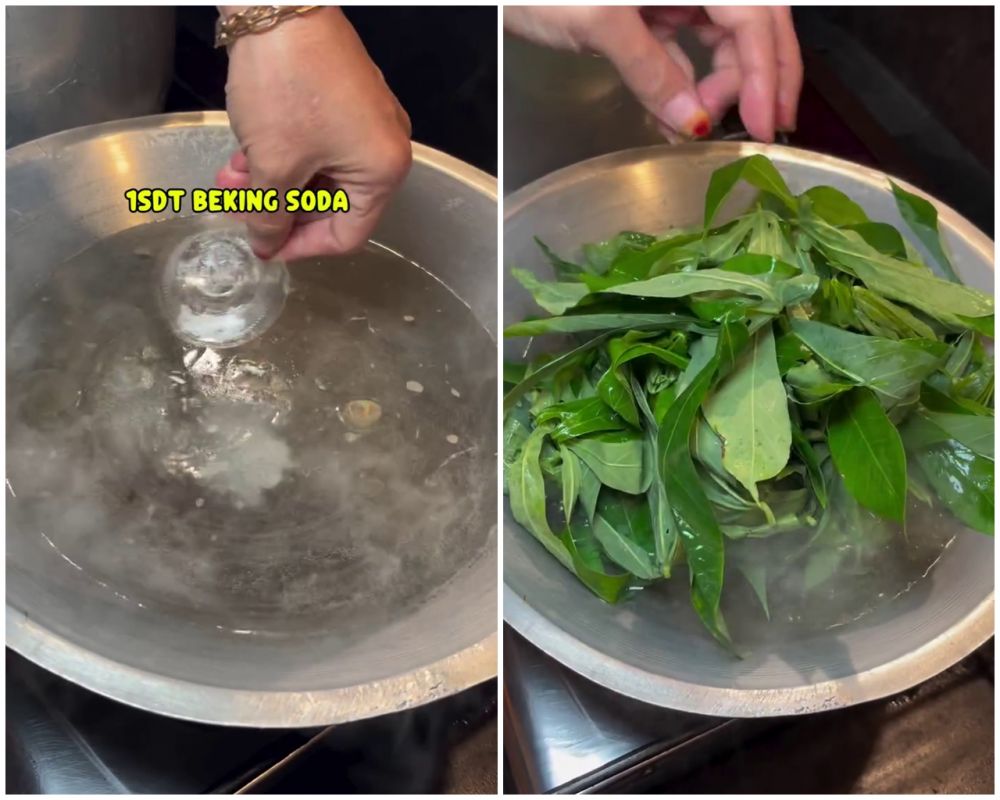 Cuma tambah 1 bumbu masakan, ini cara rebus daun singkong supaya empuk dan warnanya tetap hijau segar