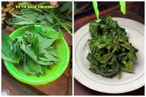 Cuma tambah 1 bumbu masakan, ini cara rebus daun singkong supaya empuk dan warnanya tetap hijau segar