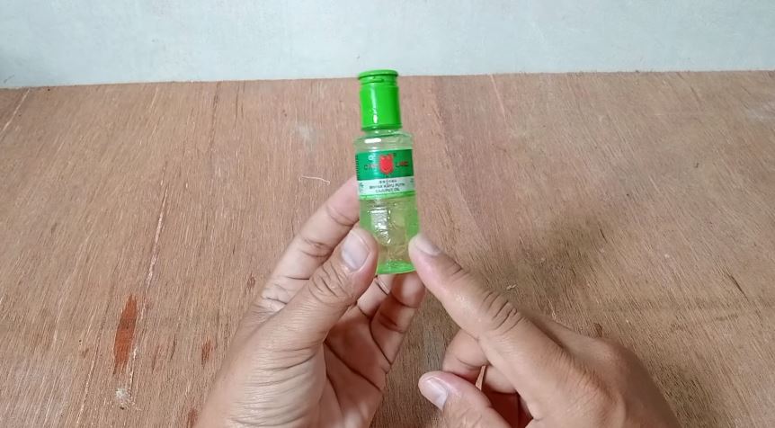 Cara mengusir cicak pakai 1 bumbu dapur tanpa perlu bikin perangkap atau cairan khusus