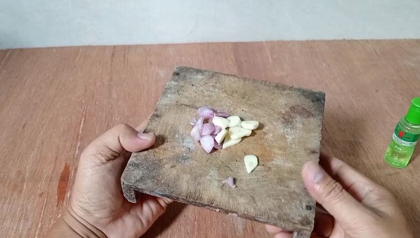 Cara mengusir cicak pakai 1 bumbu dapur tanpa perlu bikin perangkap atau cairan khusus