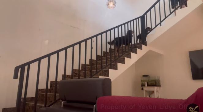 Perabot toples di dapur bikin salfok, intip 11 potret rumah Yeyen Lidya yang minim sekat