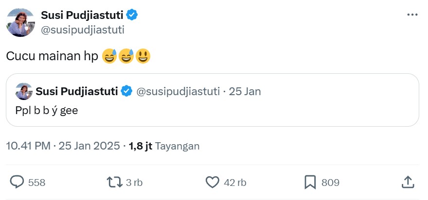 Cuitan Susi Pudjiastuti sempat diduga kode rahasia kasus pagar laut, ternyata ini fakta sebenarnya
