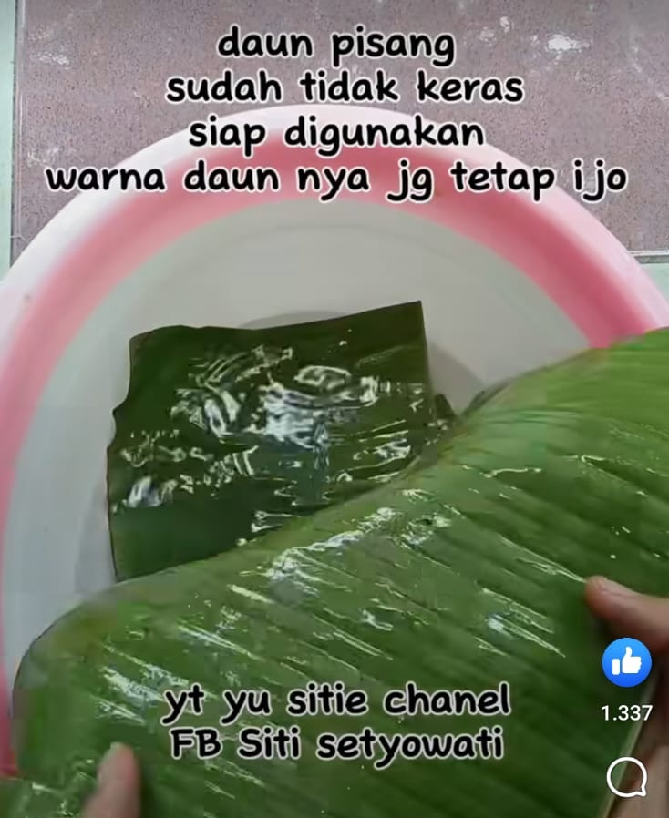 Dijemur makan waktu, ini trik cepat melenturkan daun pisang dan hijau segar pakai 1 bahan dapur