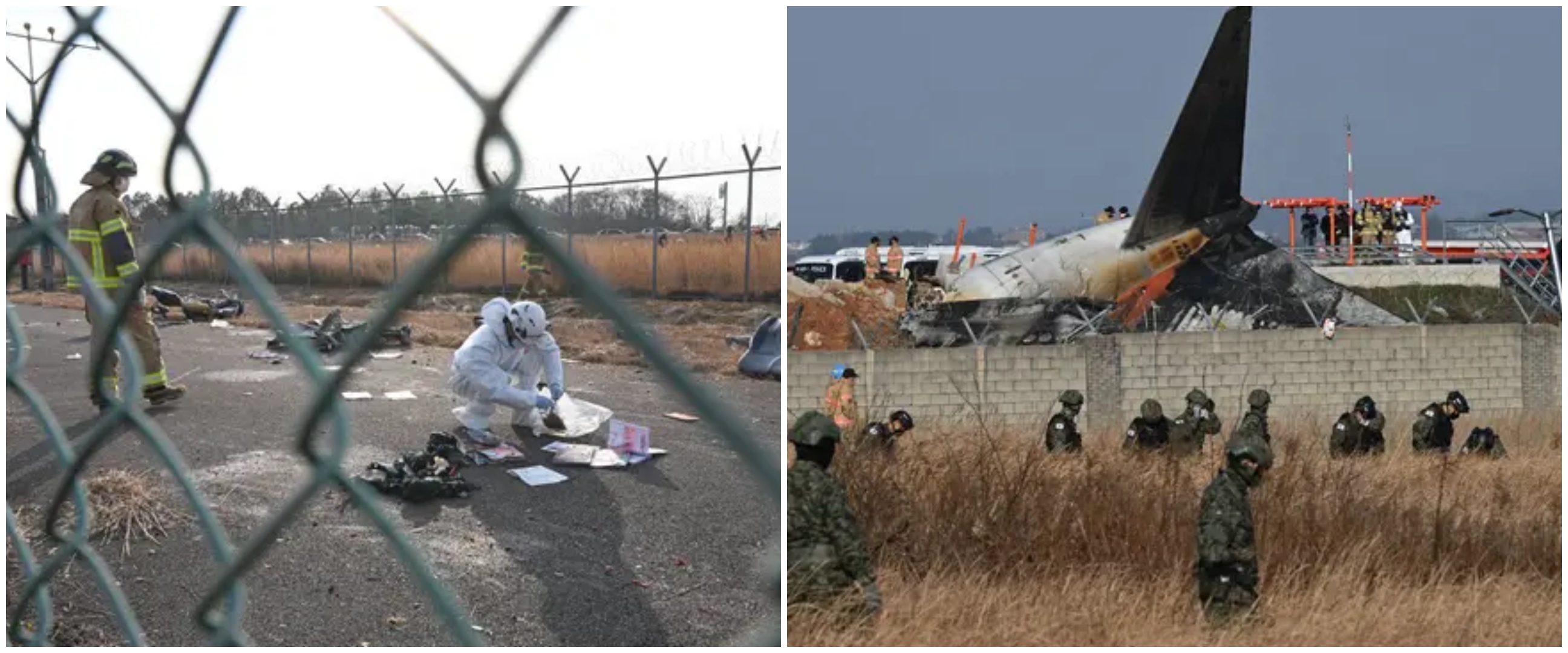 Fakta terbaru kecelakaan pesawat Jeju Air, ditemukan bangkai bebek di mesin pesawat