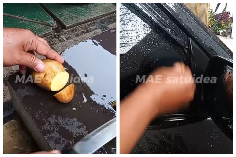 Tak perlu pakai alkohol, begini trik ampuh bersihkan jamur di kaca mobil cuma dengan 1 bahan makanan