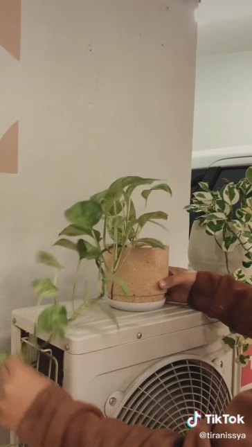 Punya rumah kontrakan dengan teras jadul dimakeover ala bohemian, 9 potretnya bikin betah nongkrong