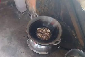 Cara aman menggoreng cumi agar tidak meletus tanpa tambahan bahan apa pun, mudah dipraktikkan