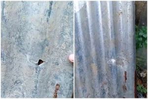 Tanpa kapas atau gabus, ini trik tambal atap seng berlubang lebar agar tak bocor pakai 1 bahan dapur