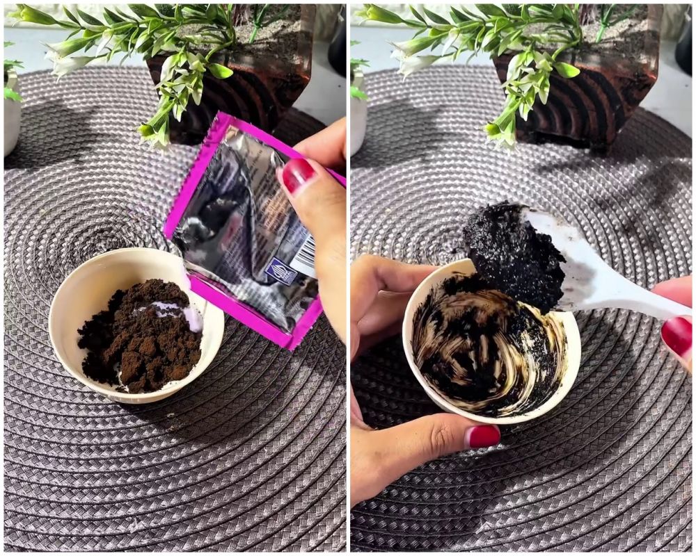 Trik bikin pengharum ruangan ekonomis agar wangi tahan lama berhari-hari cuma pakai 2 bahan sederhana