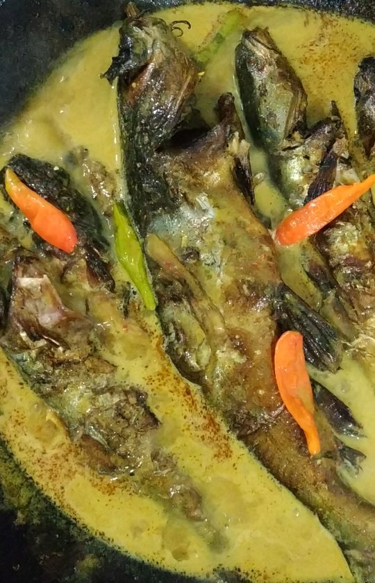 20 Resep ikan patin asap masakan sederhana, enak, bergizi, dan bikin nagih