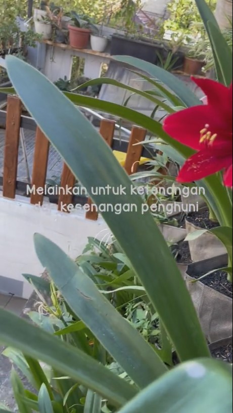Balkon nganggur ini nekat dimakeover tanpa arsitek jadi kamar kece estetik, intip 8 potretnya
