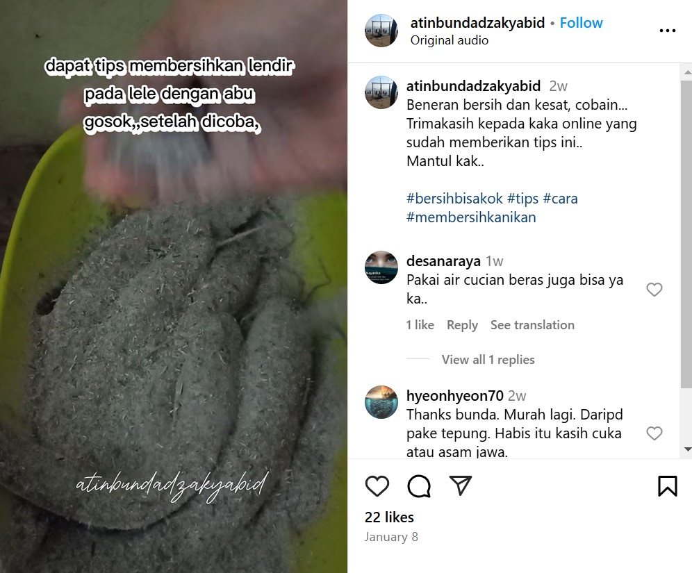 Bukan direndam cuka atau digosok tepung, begini cara basmi lendir ikan lele agar kesat maksimal