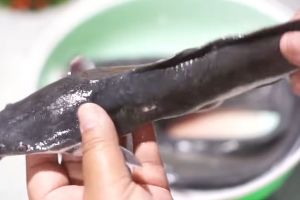 Trik ampuh hilangkan lendir ikan lele pakai 1 jenis tepung, bikin renyah dan tak lengket saat digoreng