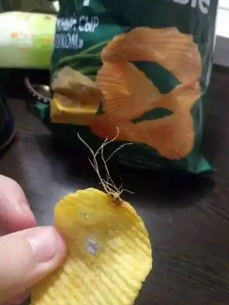 11 Momen apes saat makan ini pastinya bikin kesal parah, auto nggak berselera lagi