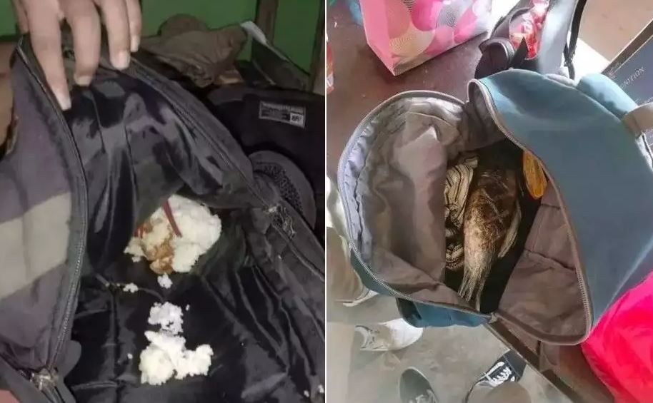 11 Momen apes saat makan ini pastinya bikin kesal parah, auto nggak berselera lagi